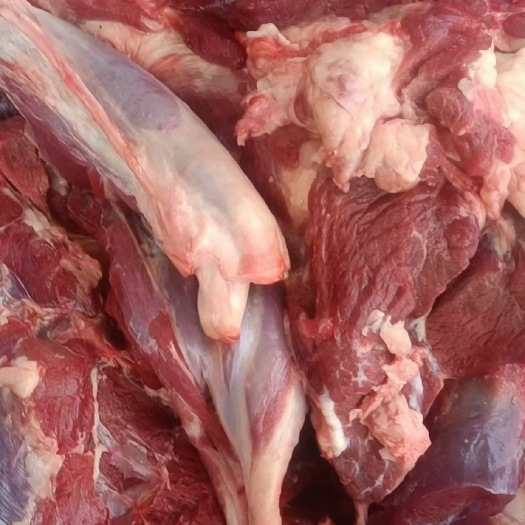 郑州鲜驴肉