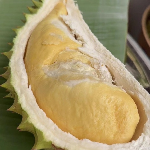 南宁干尧