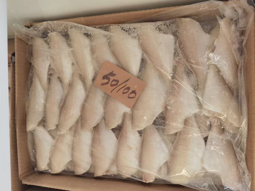 北海厂家马面鱼一手批发 耗儿鱼 扒皮鱼 国际原料国内原料均有