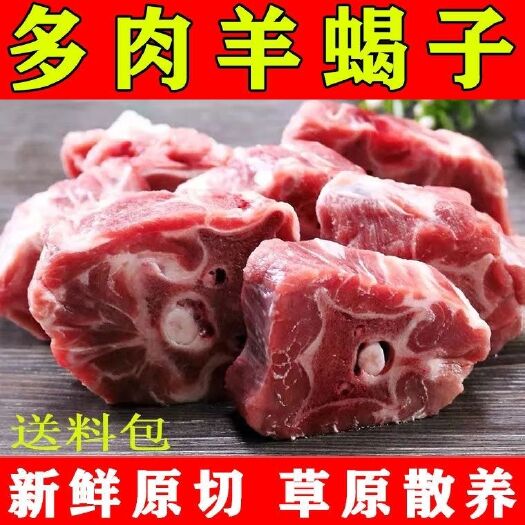 多肉羊蝎子冷冻羊脊骨带骨髓内蒙古多肉火锅食材新鲜羊蝎子