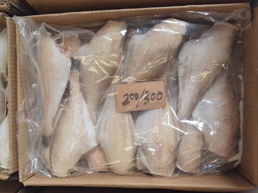 北海厂家马面鱼一手批发 耗儿鱼 扒皮鱼 国际原料国内原料均有