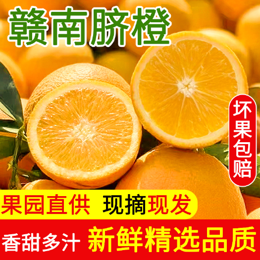 瑞金市江西赣南脐橙60-90cm精品果产地直发当季水果手剥冰糖甜橙