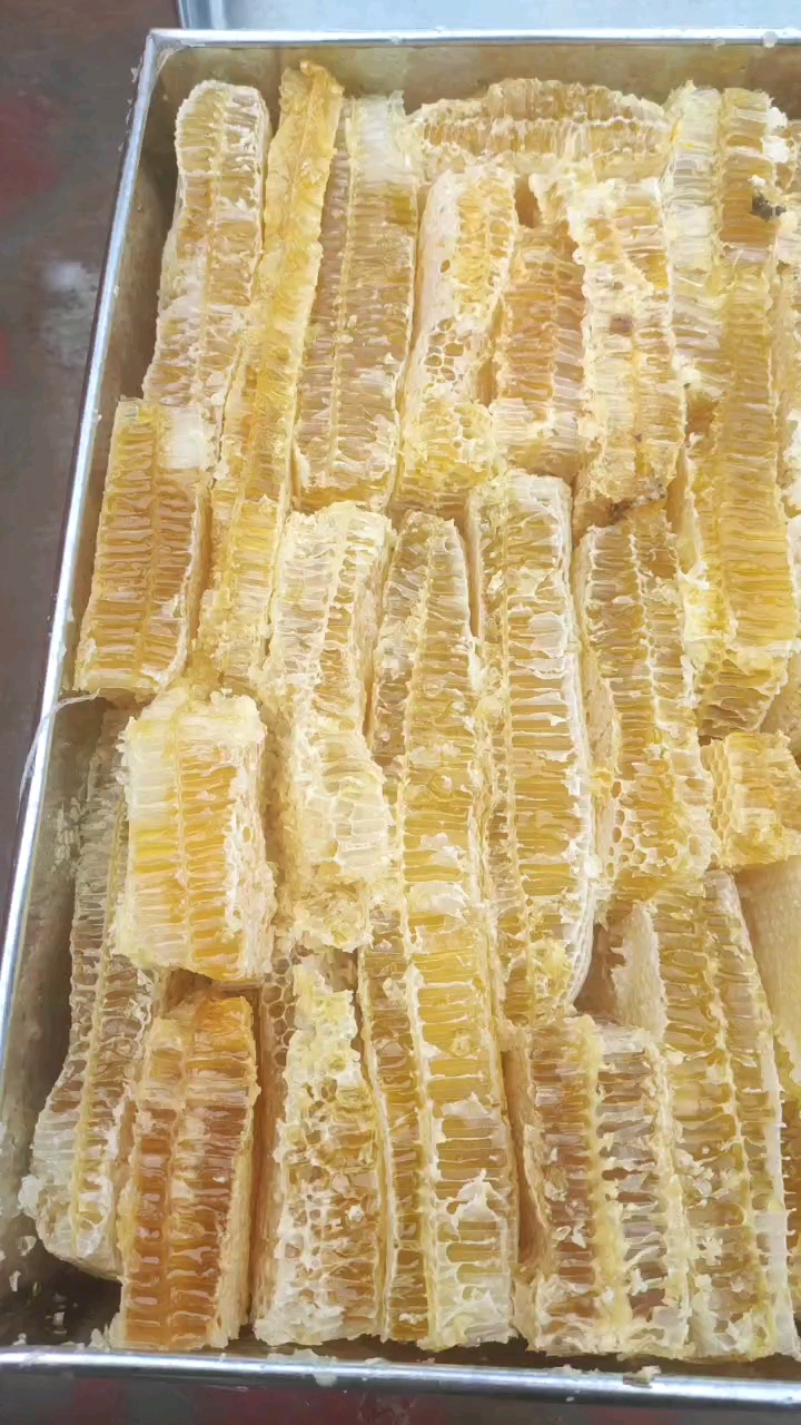 成都云南文山中蜂巢蜂蜜可以嚼着吃的蜂蜜现割现发百花蜜批发压蜜机
