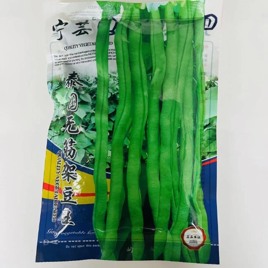 沭阳县宁芸架豆王种子泰国特长无筋架豆青豆菜豆籽长芸豆四季豆蔬菜种子