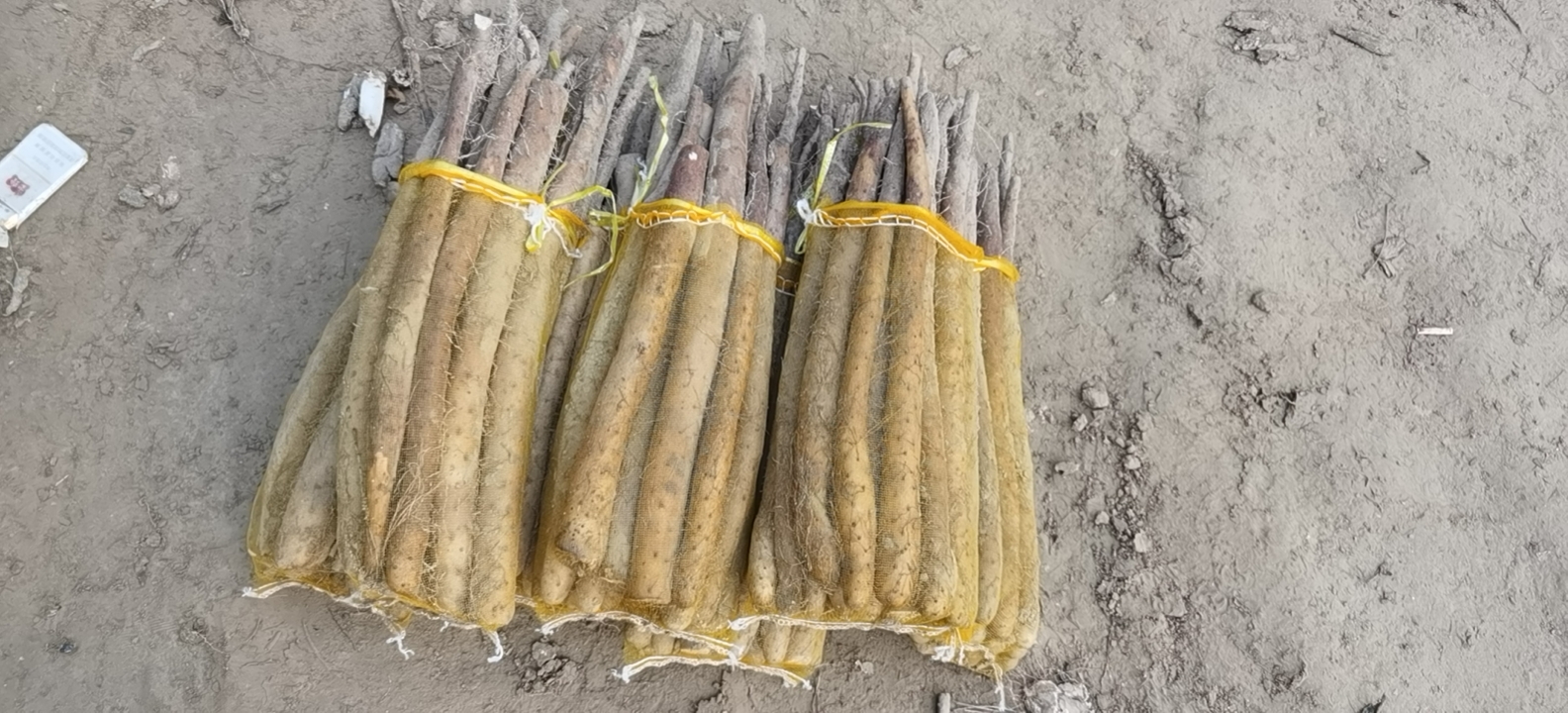 常年供应白玉山药，手捡、通货，长条,网贷货，轱辘，河南路……