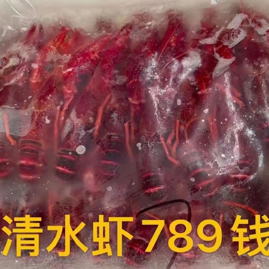 潜江市冻虾 速冻清水小龙虾 冻虾 调味虾 调味虾尾各种规格有货