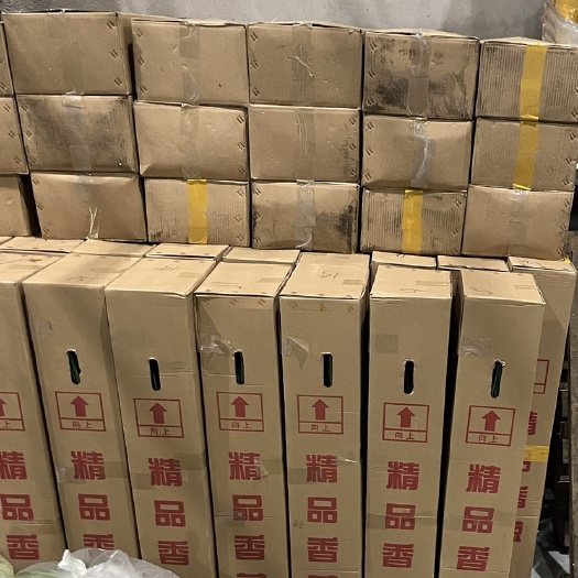 大连精品香葱