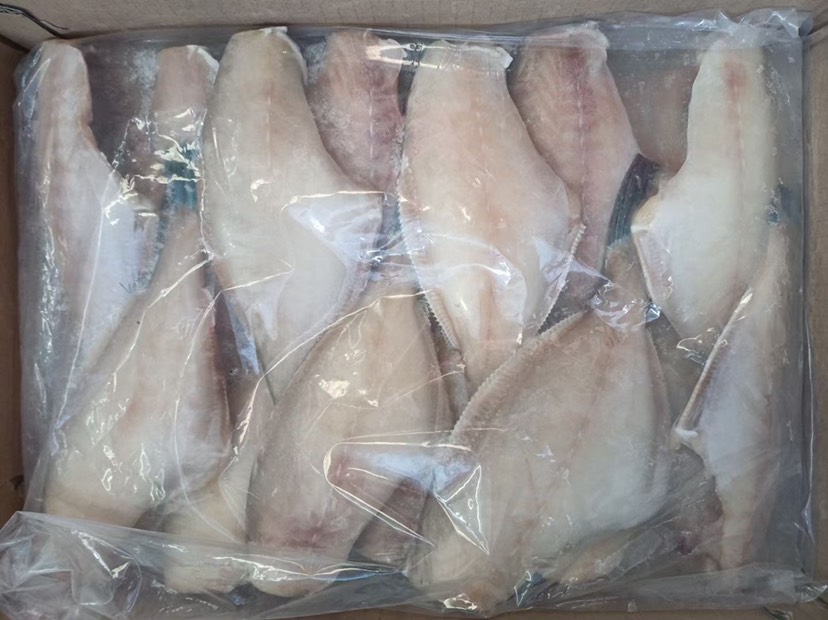北海厂家马面鱼一手批发 耗儿鱼 扒皮鱼 国际原料国内原料均有