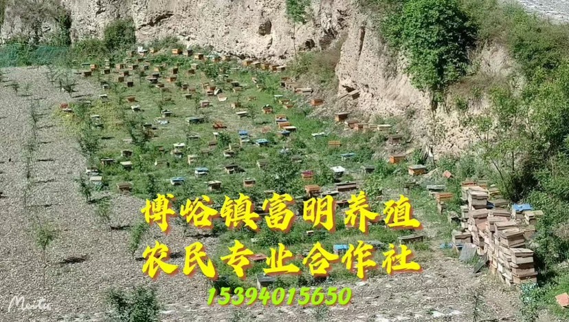 迭部县农家特产