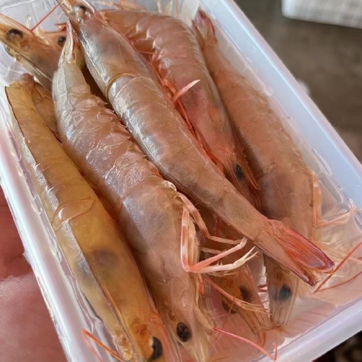 沙鲁虾沙律虾沙卢虾白灼新鲜活冻滑皮虾渔船海捕餐饮酒店社区团购