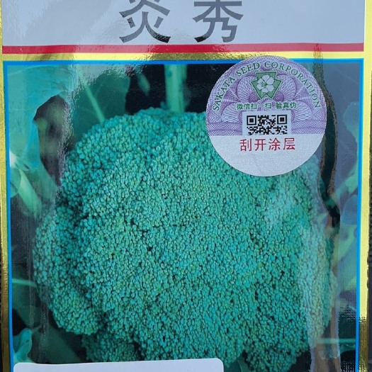 昆明西兰花种子  炎秀西蓝花种子！高端品种，耐热，米粒小，高抗病
