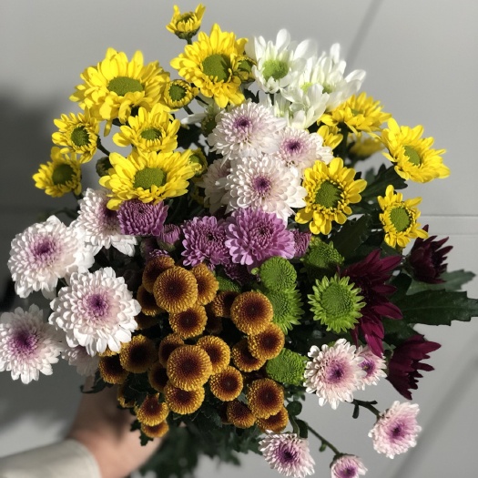 昆明小雏菊，云南鲜切花，云南鲜花批发，量大优惠