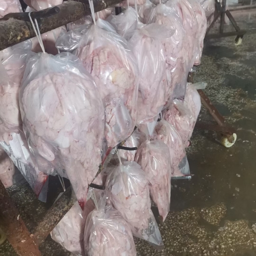 沂南县肥猪板油:吊挂+平铺通出