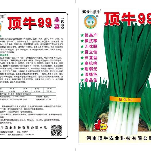 通许县韭菜种子 顶牛99 不休眠 抗病抗寒 杂交韭菜种 优高产