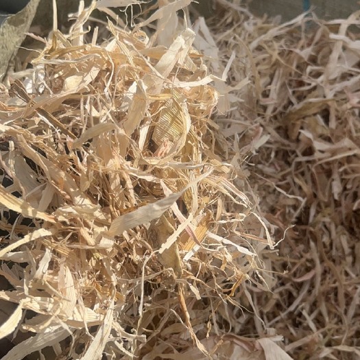 张掖牛羊饲草佳品