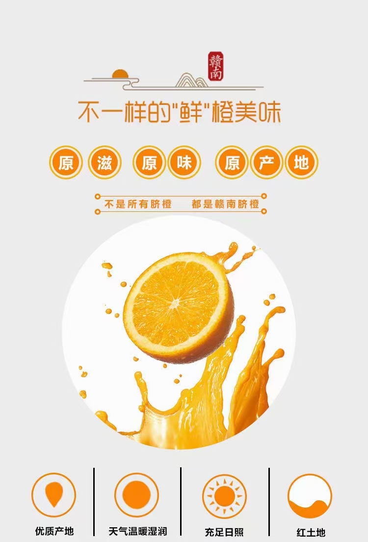赣南脐橙 橙子 无籽化渣 鲜嫩多汁 应季水果 现采现发