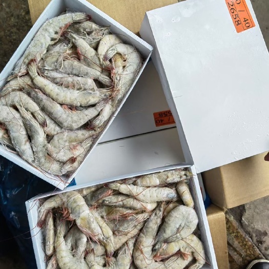 桑塔大虾，南美白对虾