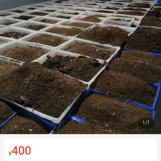 连云港黑水虻虫沙虫粪