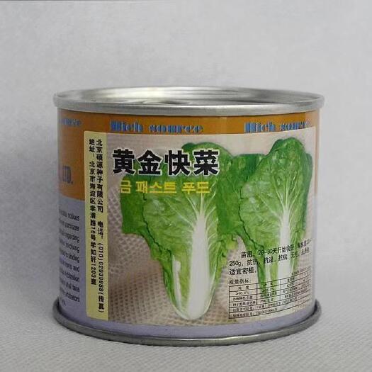 济南盒装黄金快菜种子 快菜种子