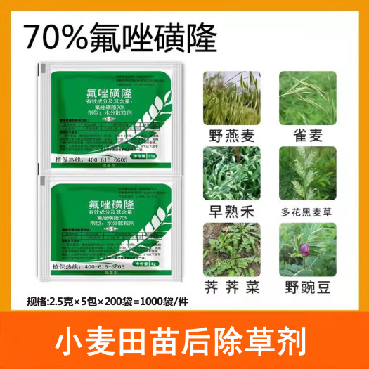 郑州70%  氟唑磺隆 防除雀麦早熟禾 工厂直销