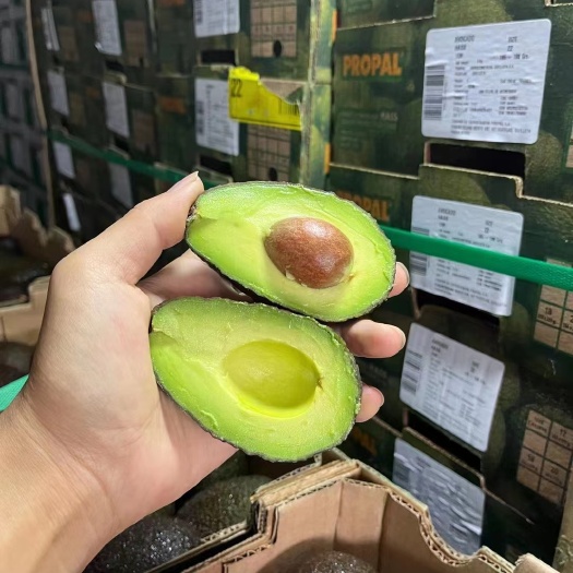 赣州即食牛油果，秘鲁 智利都有 坏果包赔