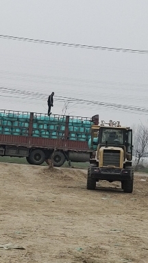阜南县优质青储，黄储