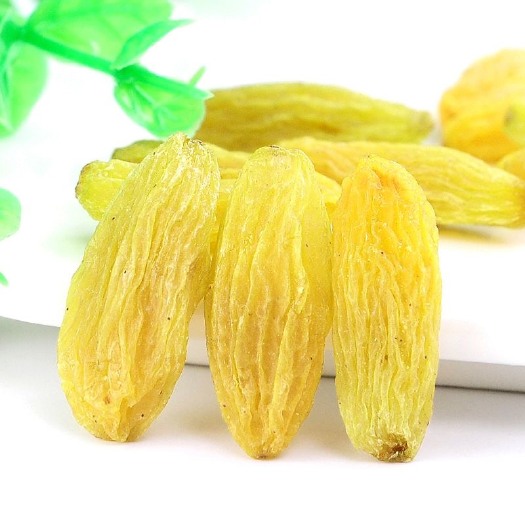 沧县【新疆吐鲁番市特产无核白葡萄干】大颗粒葡萄干蜜饯【全场包邮】