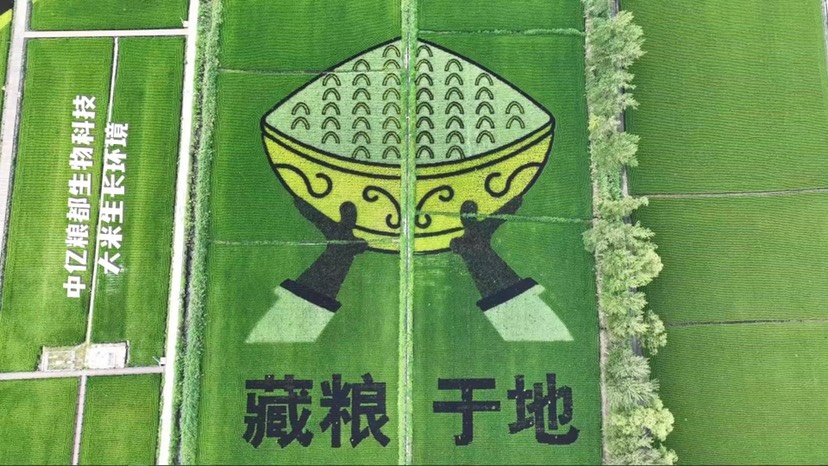 中亿粮都生物科技大米：208项农残未检出，重金属4项未检出。