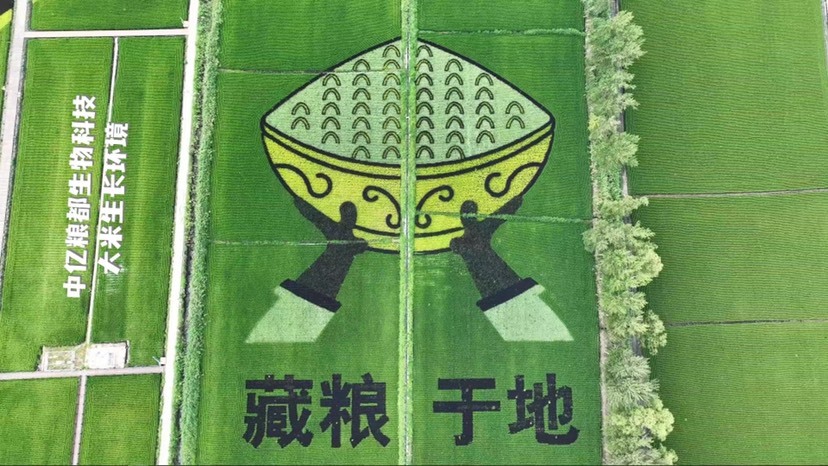 长春中亿粮都生物科技大米：208项农残未检出，重金属4项未检出。
