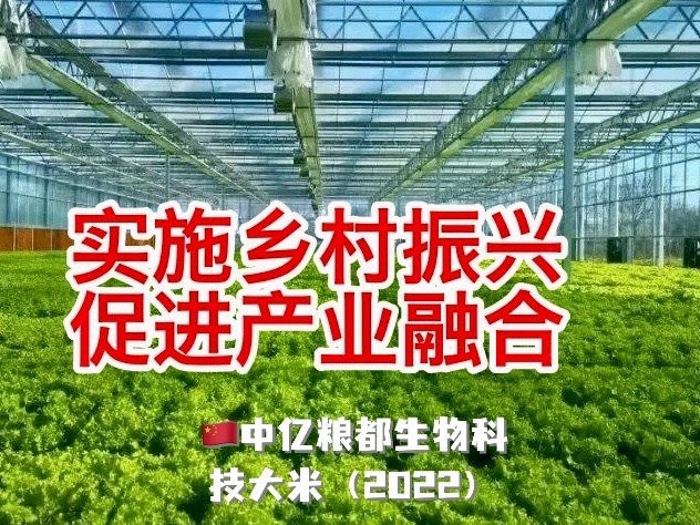 中亿粮都生物科技安全大米