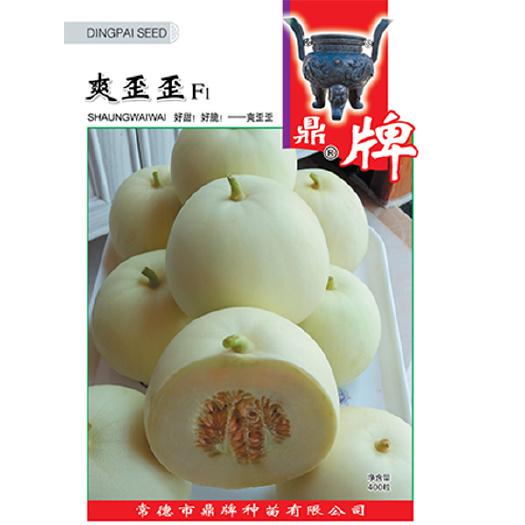 爽歪歪甜瓜种子，早熟抗裂，肉润白甜度19，脆酥甜，坐果率高