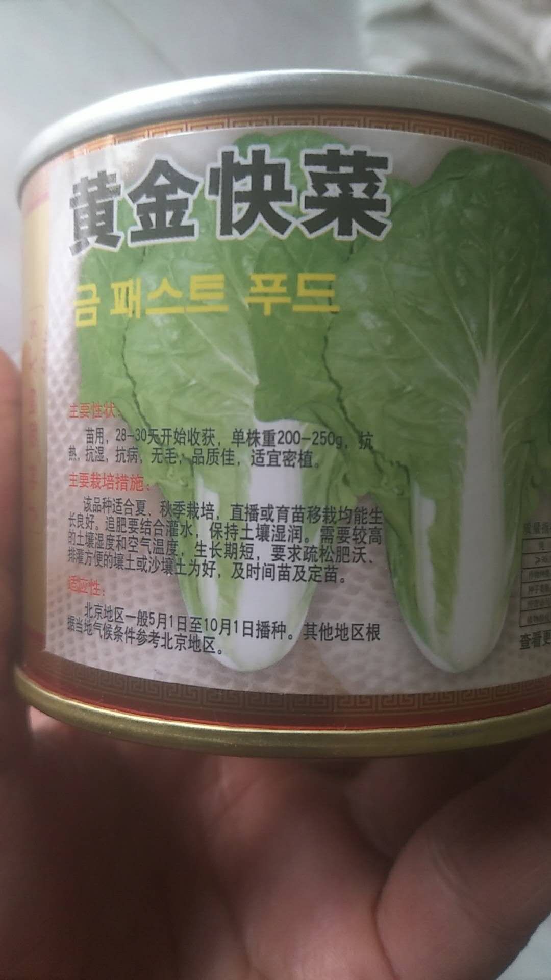 盒装黄金快菜种子 快菜种子