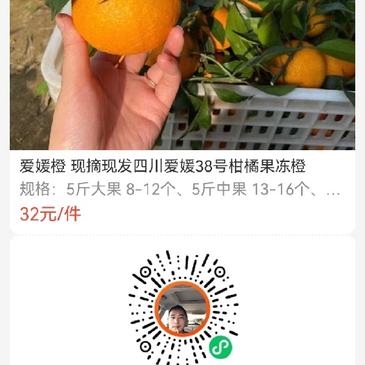 眉山爱媛橙