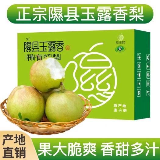 隰县正宗山西隰县玉露香梨薄皮甜脆应季新鲜水果产地批发一件代发