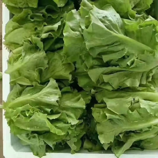 邯郸好货天天有 价钱便宜