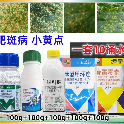靶斑病专用药蔬菜黄瓜小黄点病豆角辣椒茄子西红柿西瓜靶斑病农药