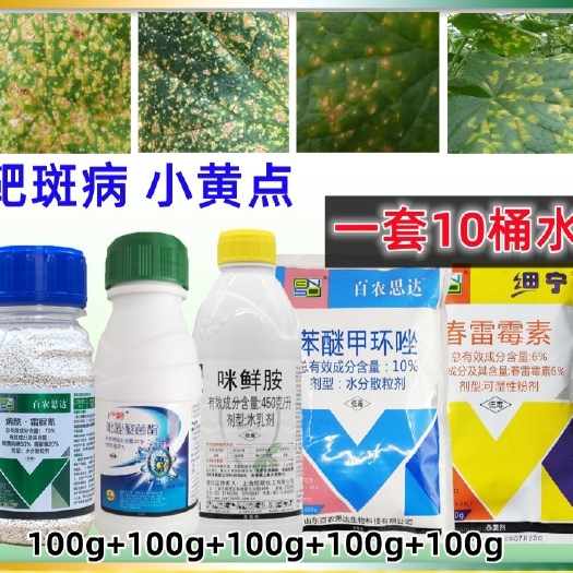 济南靶斑病专用药蔬菜黄瓜小黄点病豆角辣椒茄子西红柿西瓜靶斑病农药