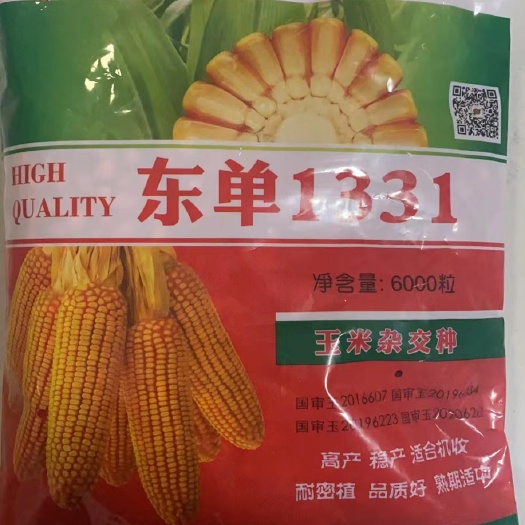 北票市2024年新种子，东单1331，四国审，产量高
6000粒