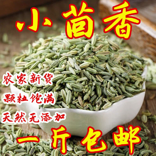 亳州新货甘肃小茴香500g火锅调料烧烤撒料香料小茴香籽大料茴香粉