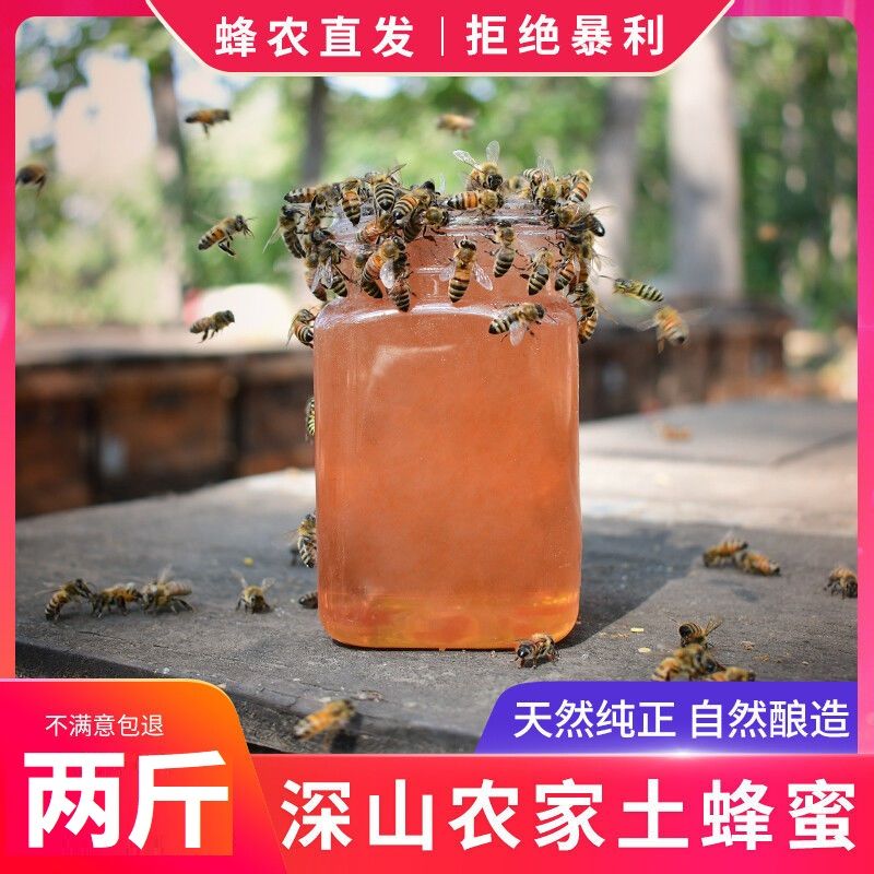 土蜂蜜1000g 百花蜜源天然野生蜂巢蜜農(nóng)家純蜂