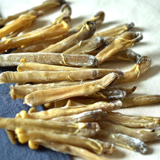 北海小沙虫干420一斤包邮尝鲜价