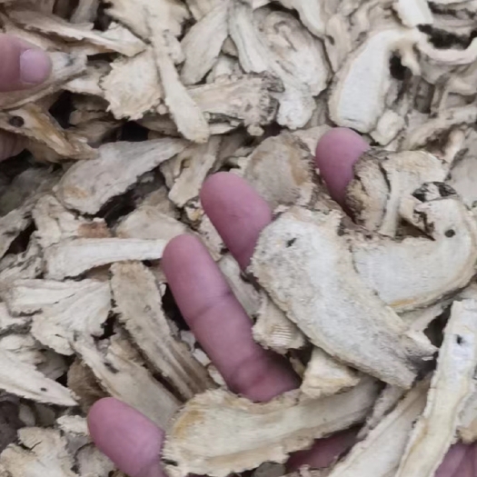 亳州当归 岷当归 无硫当归 当归头片 当归节片【假一赔十】