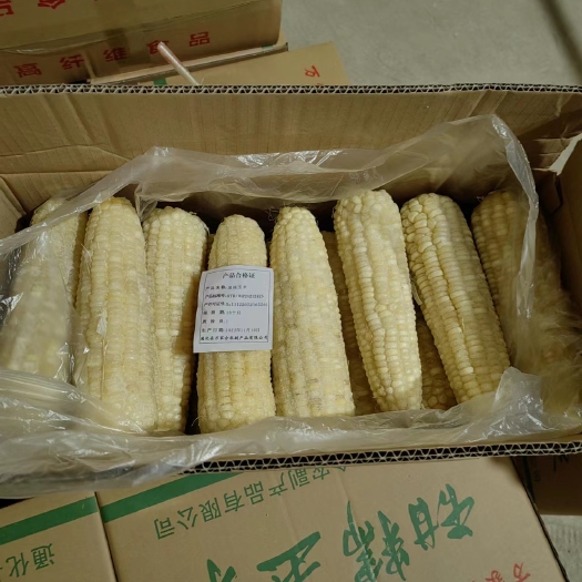 通化县速冻糯玉米