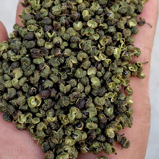 重庆市基地丫丫货，开口80，颜色有亮度