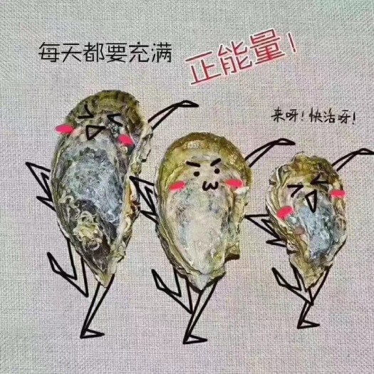 佛山山东威海乳山三倍体，一件起批、对接电商客户！