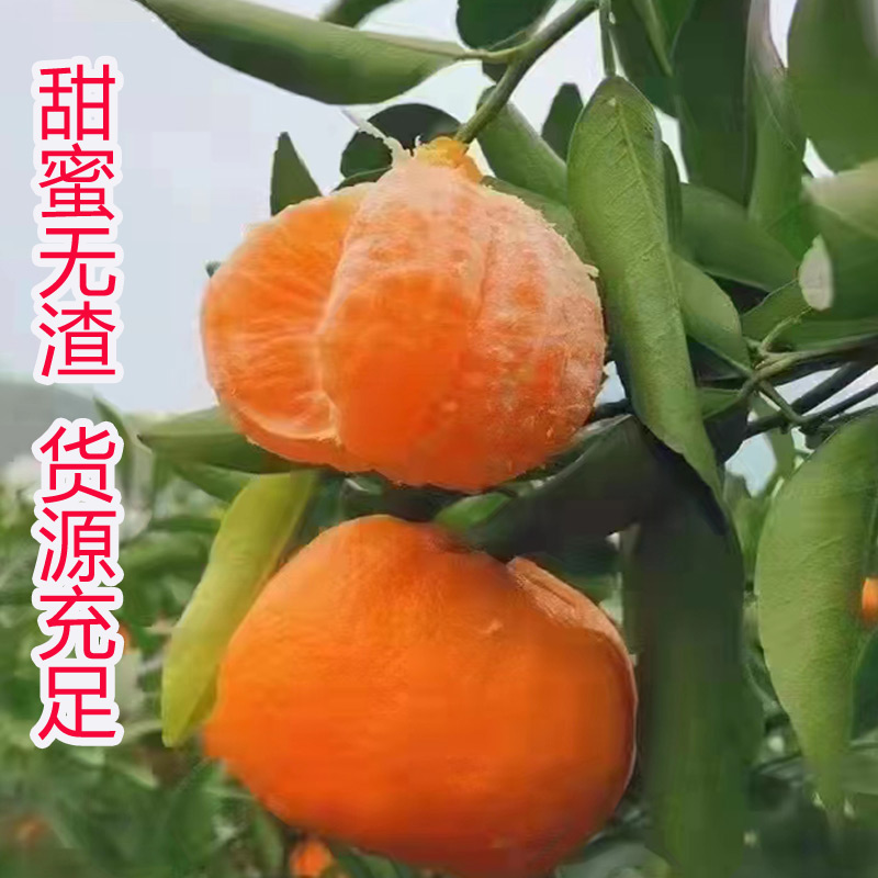 秭归县【柑橘】清江椪柑优质柑橘产地直销货源充足少籽无渣纯甜多汁桔