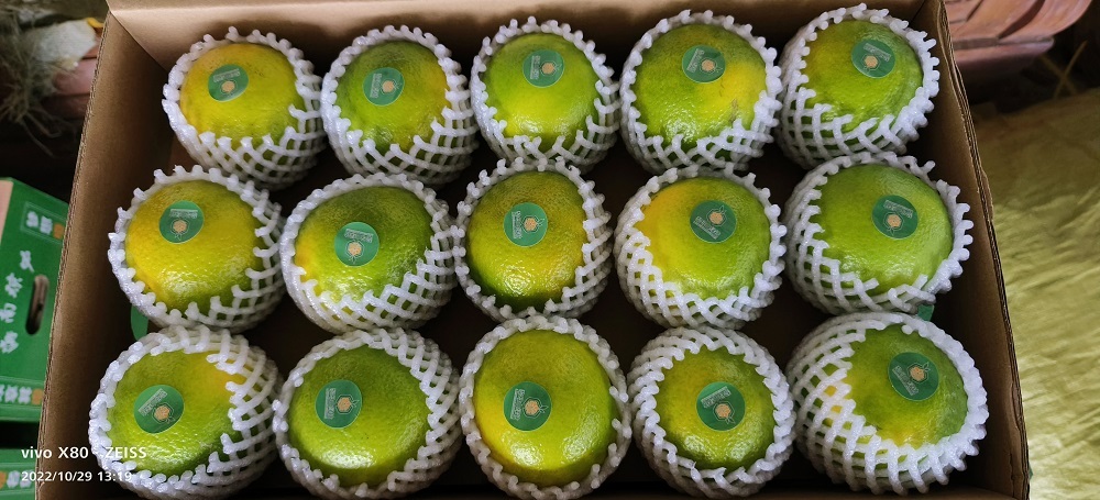 琼中县海南琼中绿橙，皮薄多汁，出楂率低。
