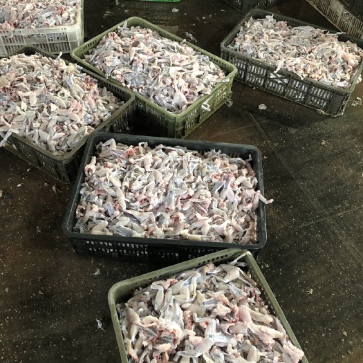 汕头牛蛙，牛蛙肉，现杀发货，优质质量，价格优势