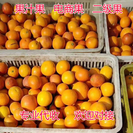 橙子电商果社区团购次果优质二级果，果汁果，质量保证量大从优