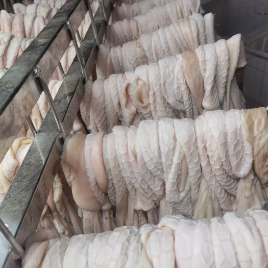 河间市免洗羔羊净肚